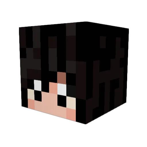 DAOX6 Minecraft avatar head, 3D render