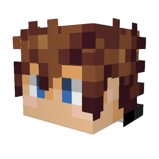 DARA7W7 Minecraft avatar head, 3D render