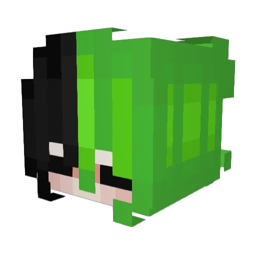 DARADORA Minecraft avatar head, 3D render