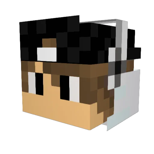DARINATOR06 Minecraft avatar head, 3D render