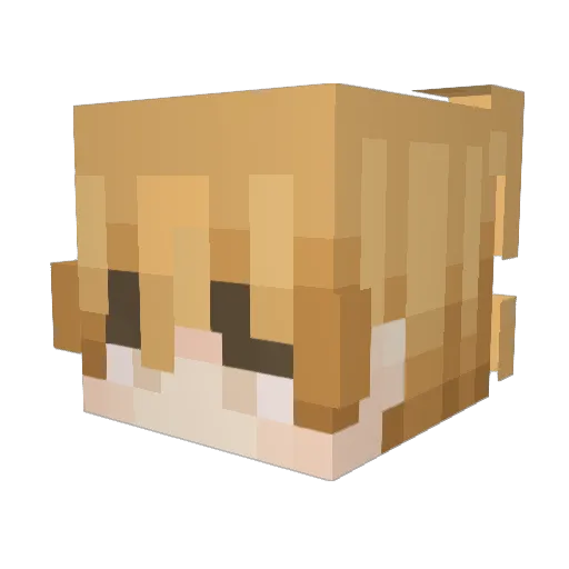 DARKAN2107 Minecraft avatar head, 3D render