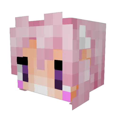DARKFANG628 Minecraft avatar head, 3D render