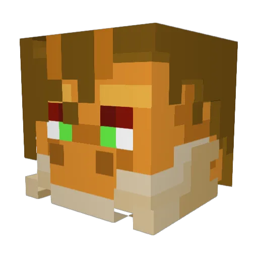 DARKHUN863 Minecraft avatar head, 3D render