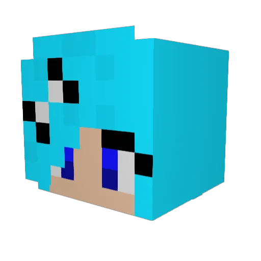 DARKMINER6919 Minecraft avatar head, 3D render