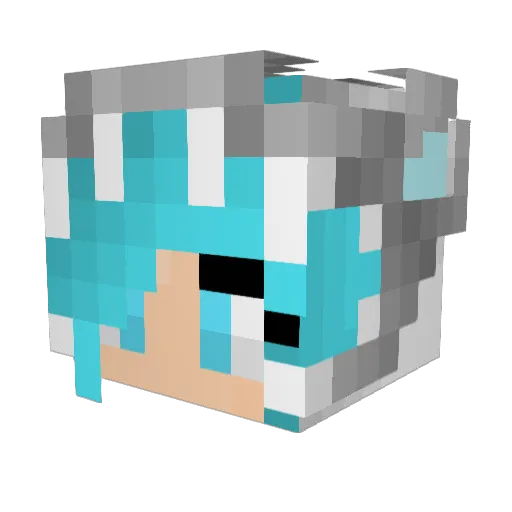 DARKNESSGLOVE Minecraft avatar head, 3D render