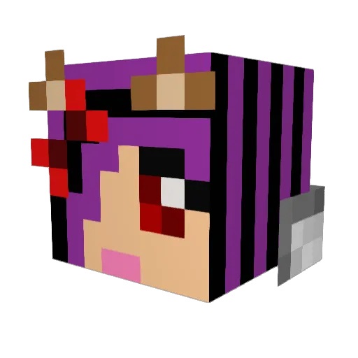 DARKPAW964 Minecraft avatar head, 3D render