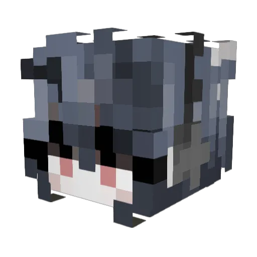 DARKSIDE2123 Minecraft avatar head, 3D render