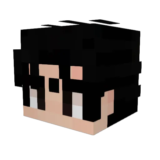 DARKSIDEWOLF Minecraft avatar head, 3D render