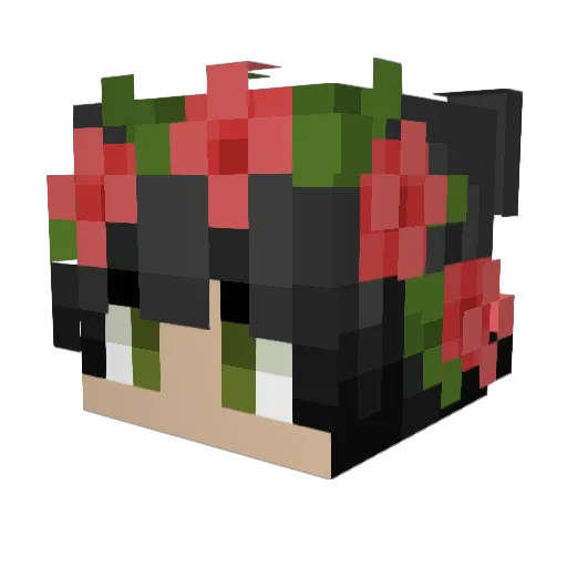 DARWINELPEZ Minecraft avatar head, 3D render