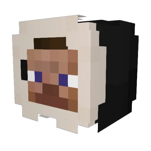 DAVDLUVSWHITETOE Minecraft avatar head, 3D render