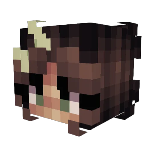 DAVIAZZONI Minecraft avatar head, 3D render