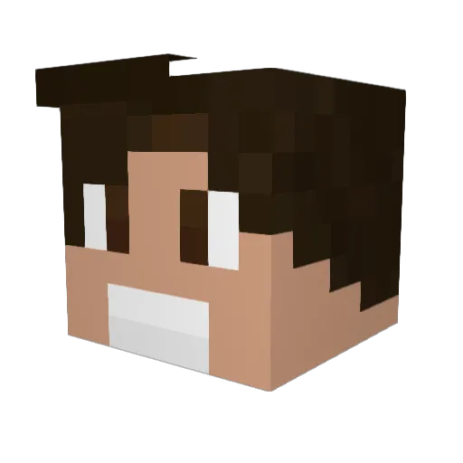 DAVIWATER Minecraft avatar head, 3D render