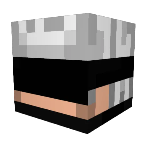 DAVIWEISS Minecraft avatar head, 3D render