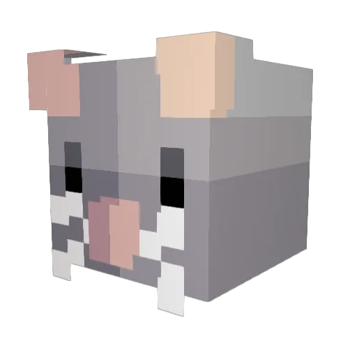 DAVOLLO12 Minecraft avatar head, 3D render