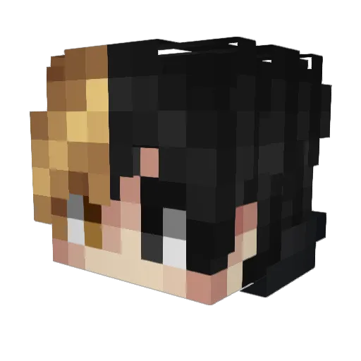DAVOOOKY Minecraft avatar head, 3D render