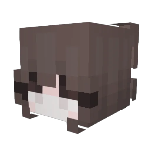 DAYNI_ Minecraft avatar head, 3D render