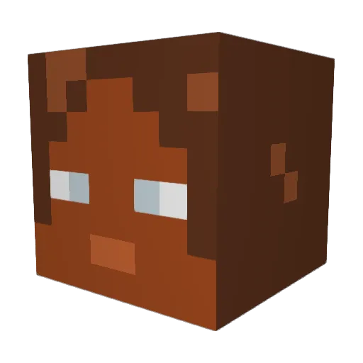 DAY_3 Minecraft avatar head, 3D render