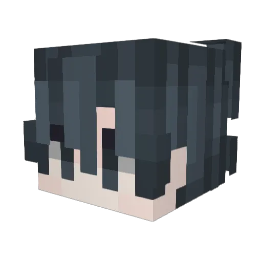 DAY_WASQF123 Minecraft avatar head, 3D render