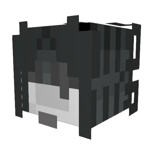 DA_RaCCooN_ Minecraft avatar head, 3D render