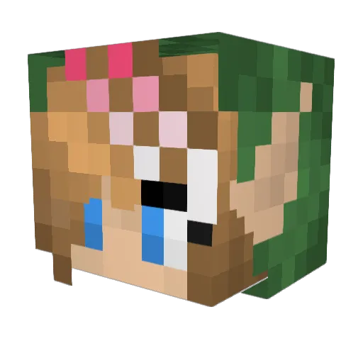 DAbbink Minecraft avatar head, 3D render