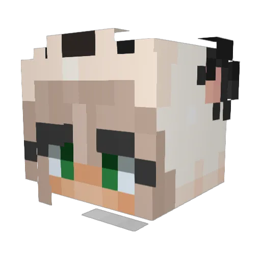 DArkBby Minecraft avatar head, 3D render