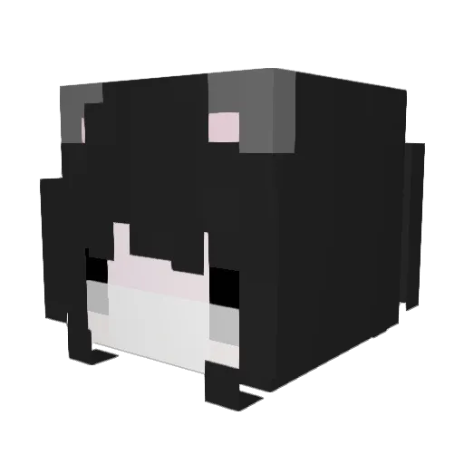 DBJ Minecraft avatar head, 3D render