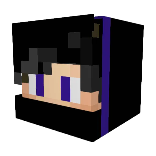 DBS787 Minecraft avatar head, 3D render