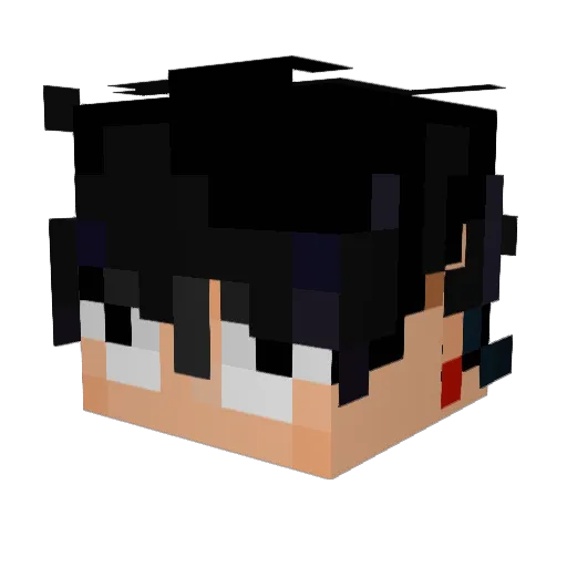DBZDragon132 Minecraft avatar head, 3D render