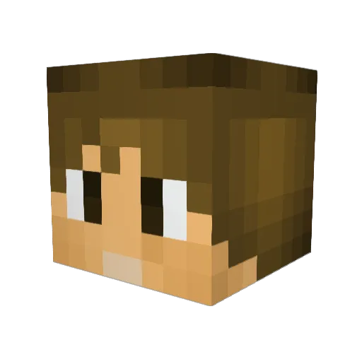 DB_Miner Minecraft avatar head, 3D render