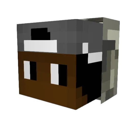 DBaconBoy Minecraft avatar head, 3D render