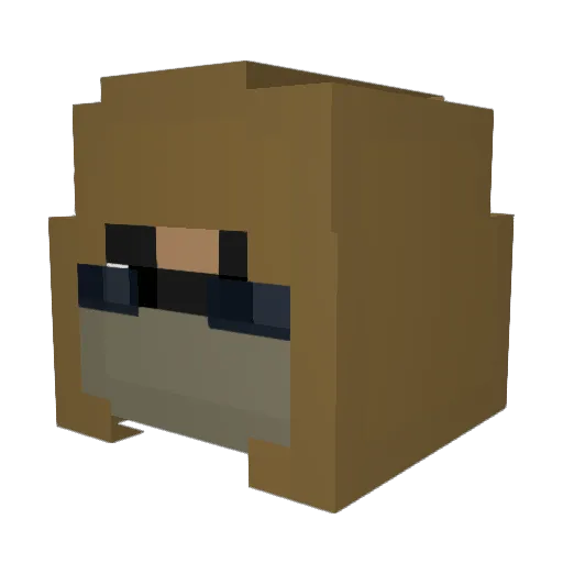 DBoiEATSNUTS Minecraft avatar head, 3D render