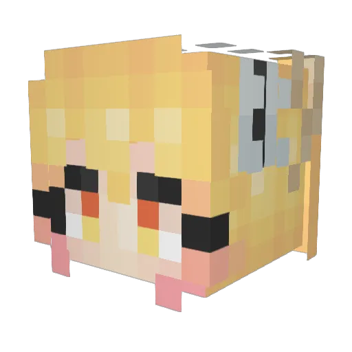 DBro1998 Minecraft avatar head, 3D render