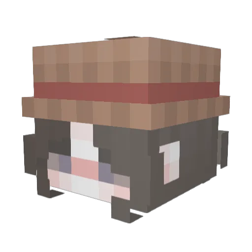 DC0R Minecraft avatar head, 3D render