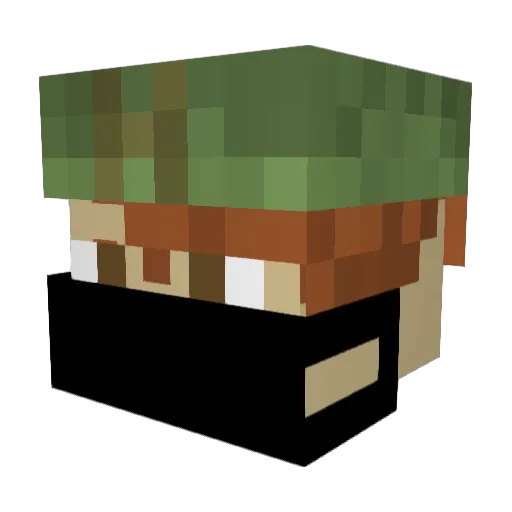 DC10_wav Minecraft avatar head, 3D render