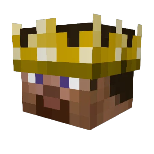 DC3Nike Minecraft avatar head, 3D render