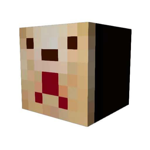 DCBA2 Minecraft avatar head, 3D render