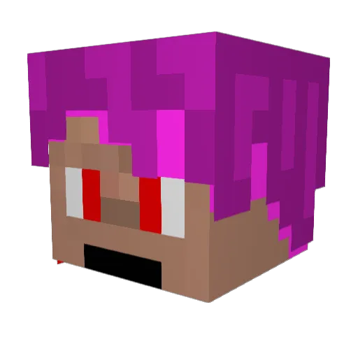 DCB_Ravioli Minecraft avatar head, 3D render
