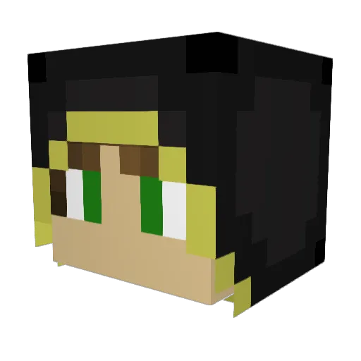DCC_Matrix Minecraft avatar head, 3D render