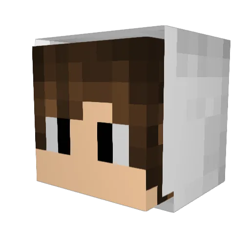 DCNTH1 Minecraft avatar head, 3D render