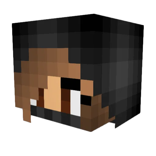 DC__fluffy Minecraft avatar head, 3D render