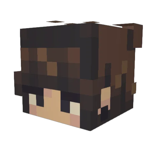 DC_penguin Minecraft avatar head, 3D render