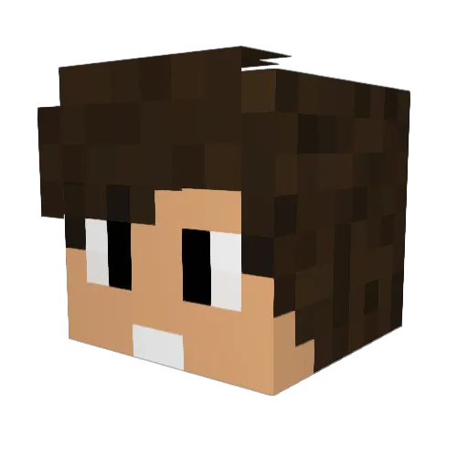 DCfire99 Minecraft avatar head, 3D render