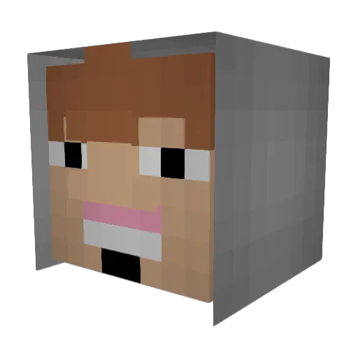 DChat_ Minecraft avatar head, 3D render
