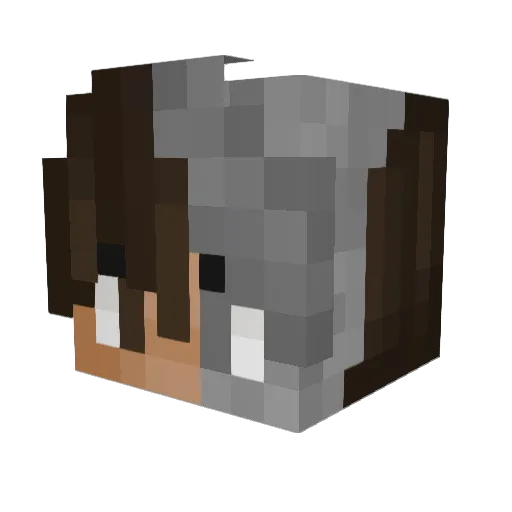 DCsteel123 Minecraft avatar head, 3D render