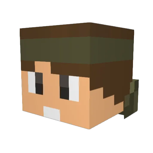 DCxSHOES14 Minecraft avatar head, 3D render