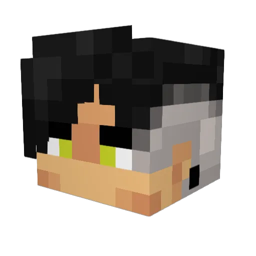 DCzinhu Minecraft avatar head, 3D render