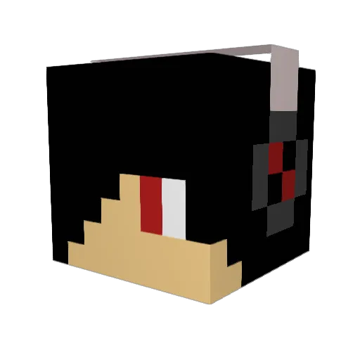 DD0S Minecraft avatar head, 3D render