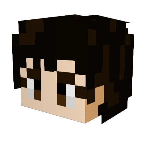 DD0ngMH Minecraft avatar head, 3D render
