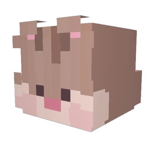 DDAlamg Minecraft avatar head, 3D render