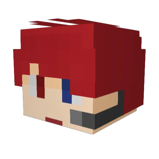 DDDDDN Minecraft avatar head, 3D render